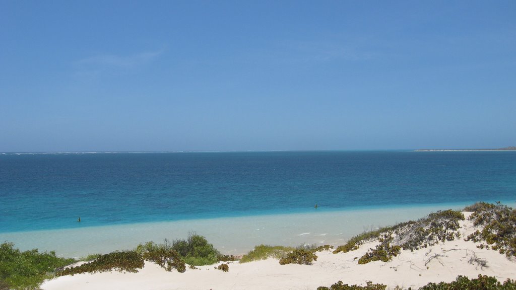 Coral Bay Australia by Melissa Hudson -  Bo…