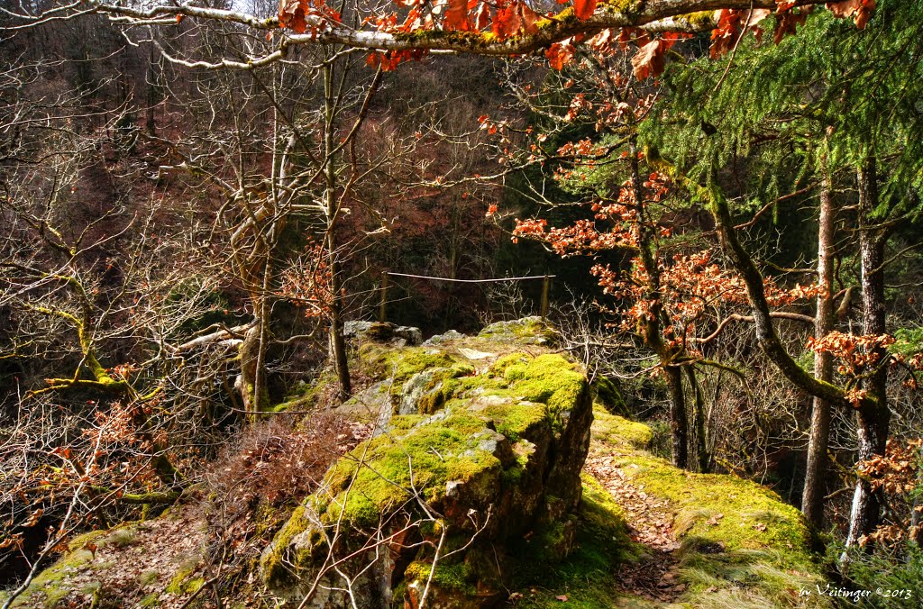 Aussichtsfelsen by Veitinger