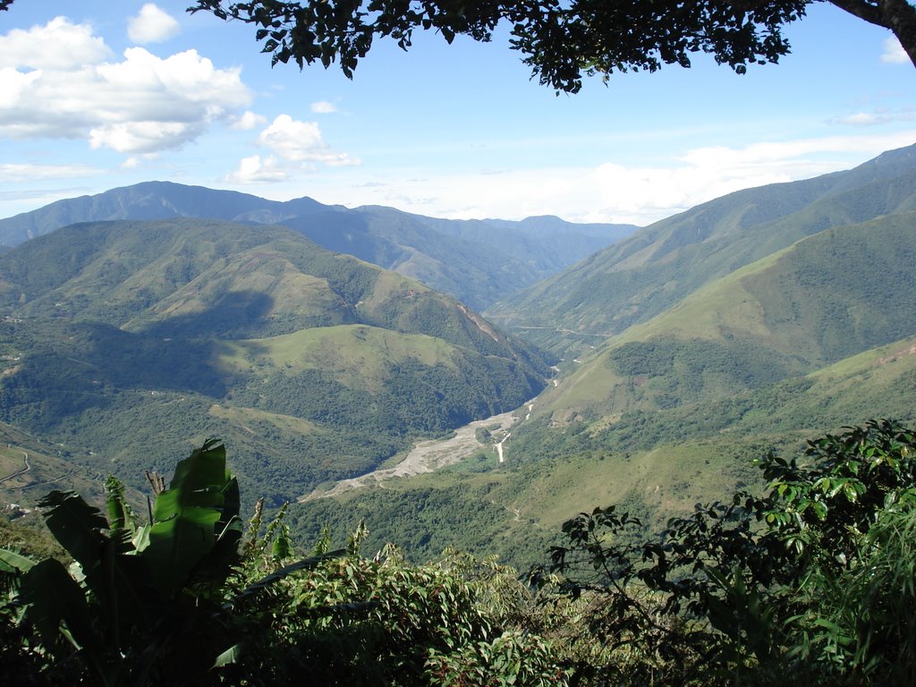 Las Yungas desde Coroico by seoane