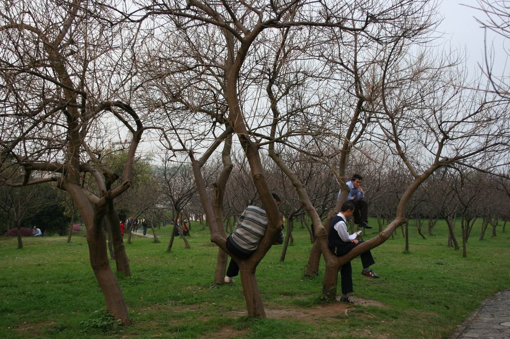 nanxi Park by softli