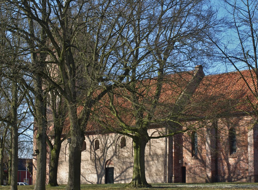 De Magnuskerk van Anloo. by Hans R van der Woude