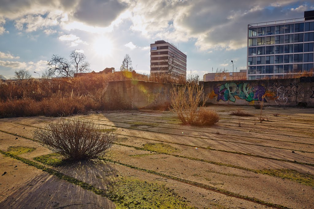 Neuss Hafen 2 by dadasdm