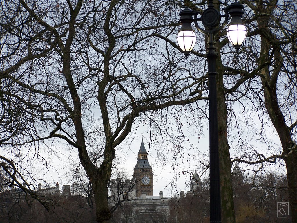 Big Ben from St. James's Park by Flavio Snidero