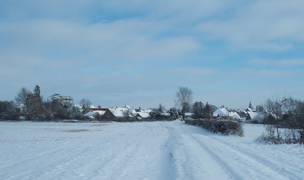 Chaumeraie sous la neige by gmichel