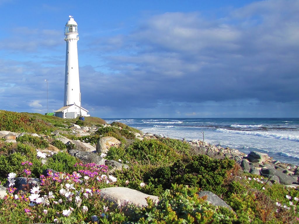 Slangkop lighthouse with spring flowers by eljay1