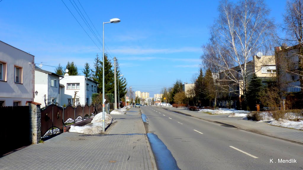 Polska ,Bydgoszcz - Glinki , Ulica Cmentarna , widok z ulicy. by Kazimierz .Mendlik