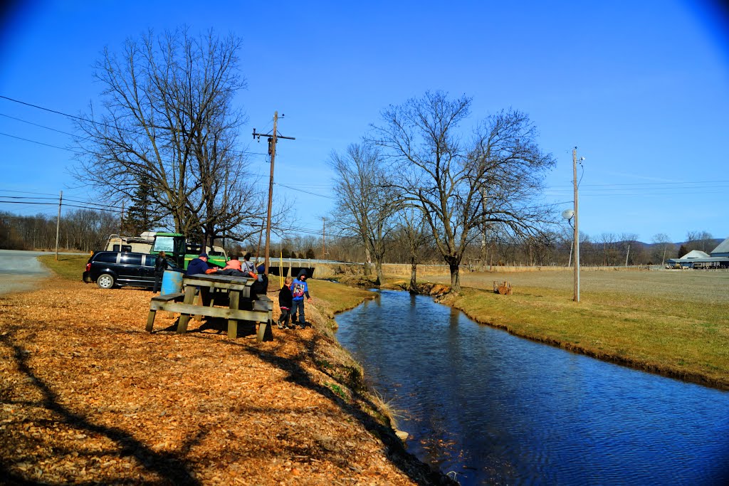 Creek by Brock S.