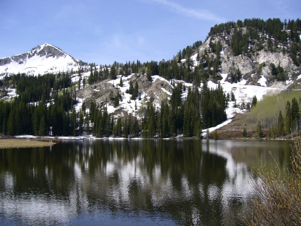 Cottonwood Canyon by noddingdog