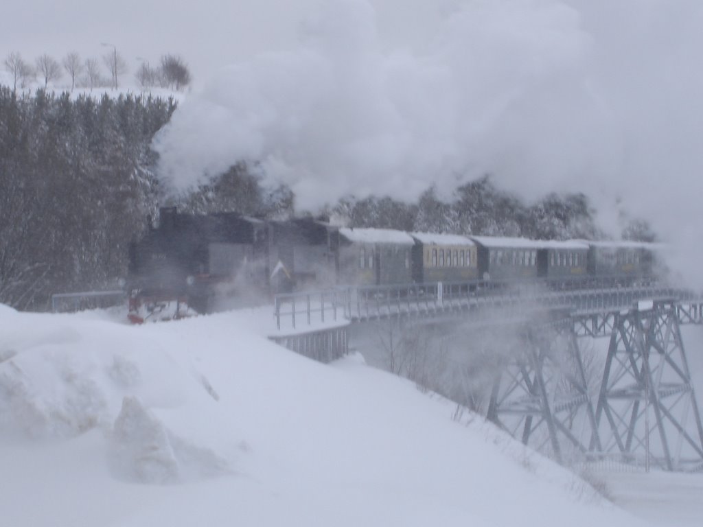 Einfahrt in den Bahnhof Oberwiesenthal (Hüttenbachviadukt) by Stephan Grimm