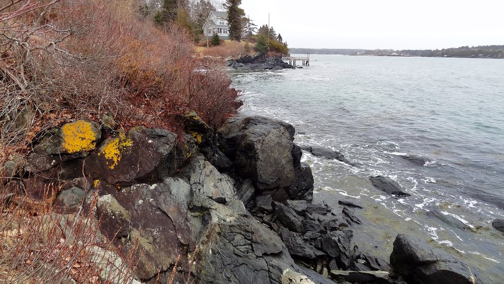 Quahog Bay, Harpswell Maine by Taoab