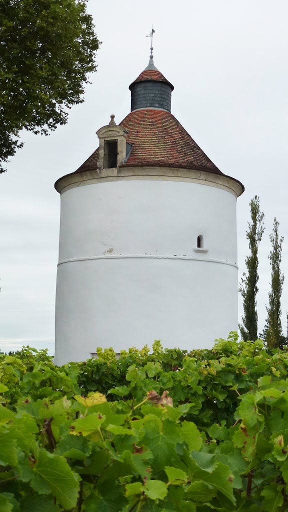 33 SAUTERNES Château la tour blanche by Joël Baijard