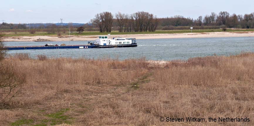 Ship at the river Waal by Steven Witkam