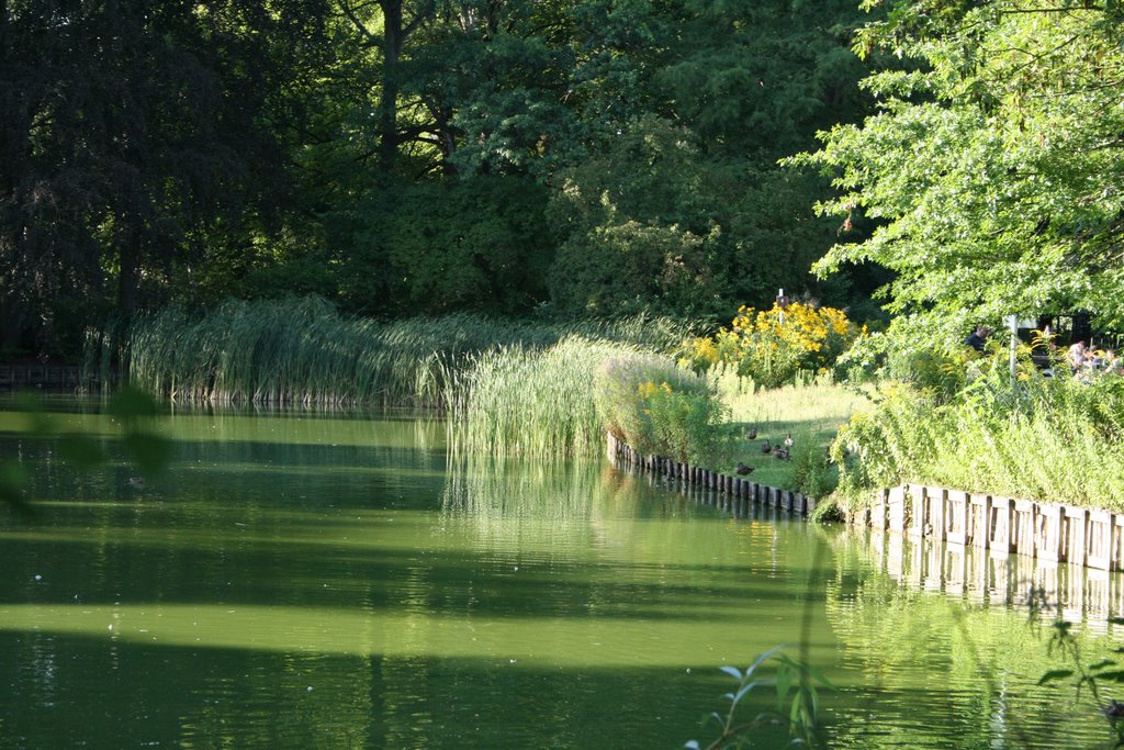 Teich im Gemeindepark by Martin Haesner