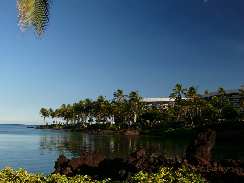 Ocean Tower, Hilton Waikoloa, Big Island by khuong308