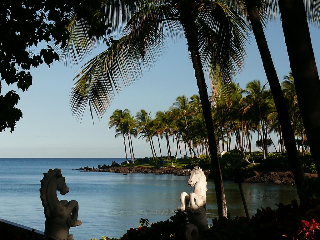 Greetings, Hiton Waikoloa, Big Island by khuong308