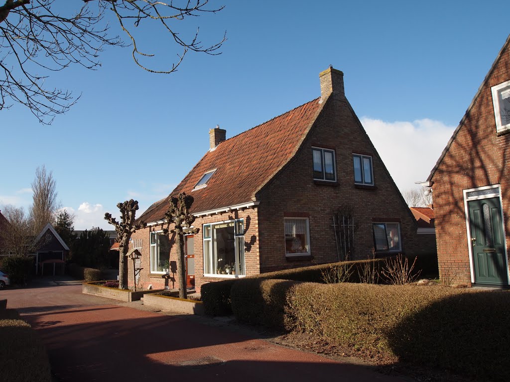 Huis met knotwilgen aan de Wâldwei. (BB) by Bayke de Vries