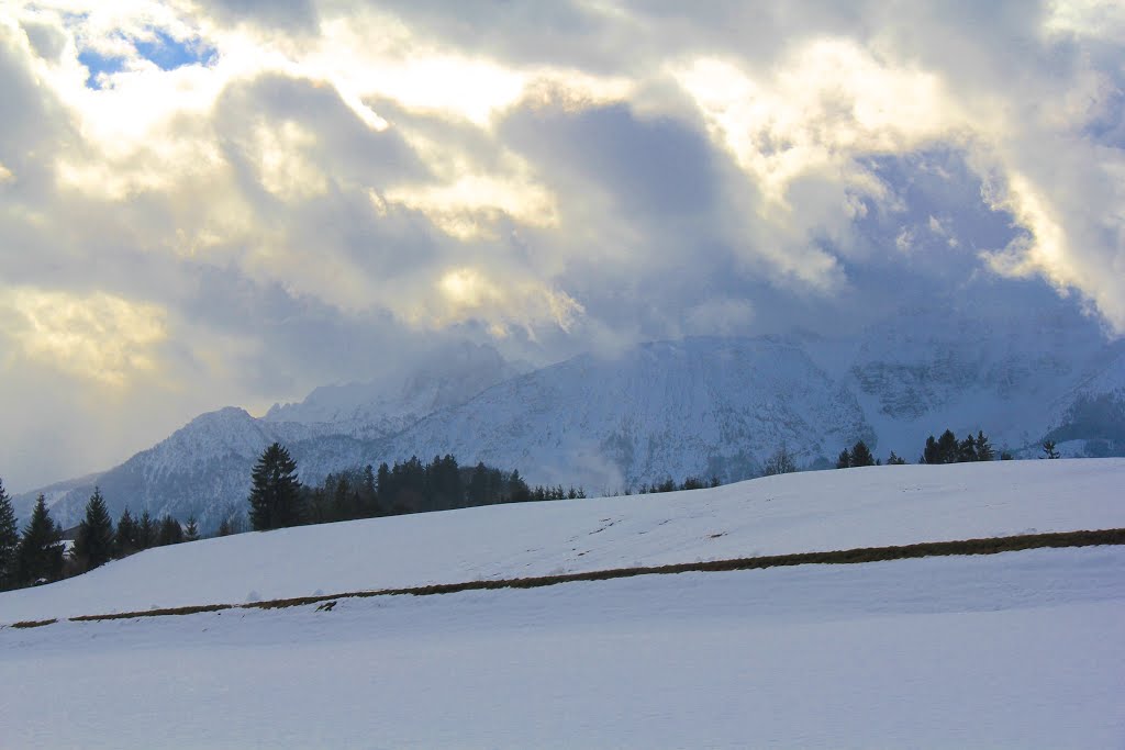 Near Fussen and the Alps, In Southern Bavaria, Germany by MICHAEL  JIROCH  &  www.michaeljiroch.com