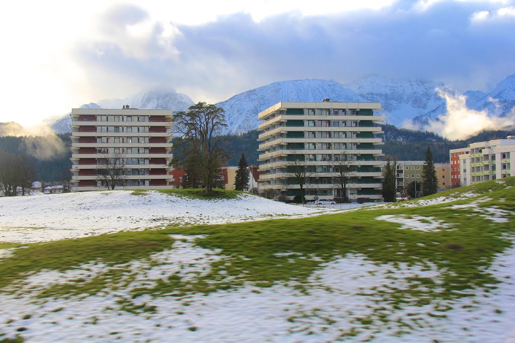 Near Fussen and the Alps, In Southern Bavaria, Germany by MICHAEL  JIROCH  &  www.michaeljiroch.com