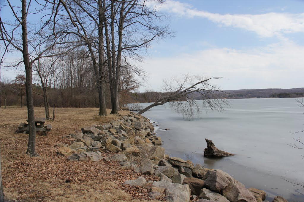 Yellow Creek State Park by Ron Shawley