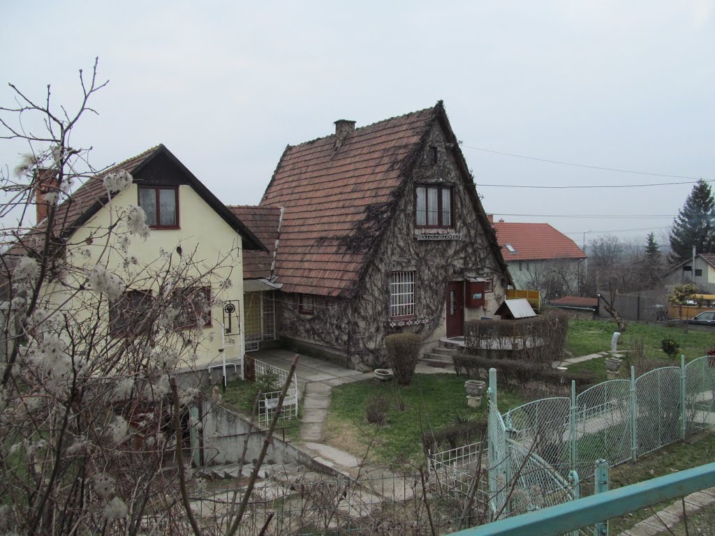 Décsi József utcai ház (Decsi Joseph Street house) by smaszi