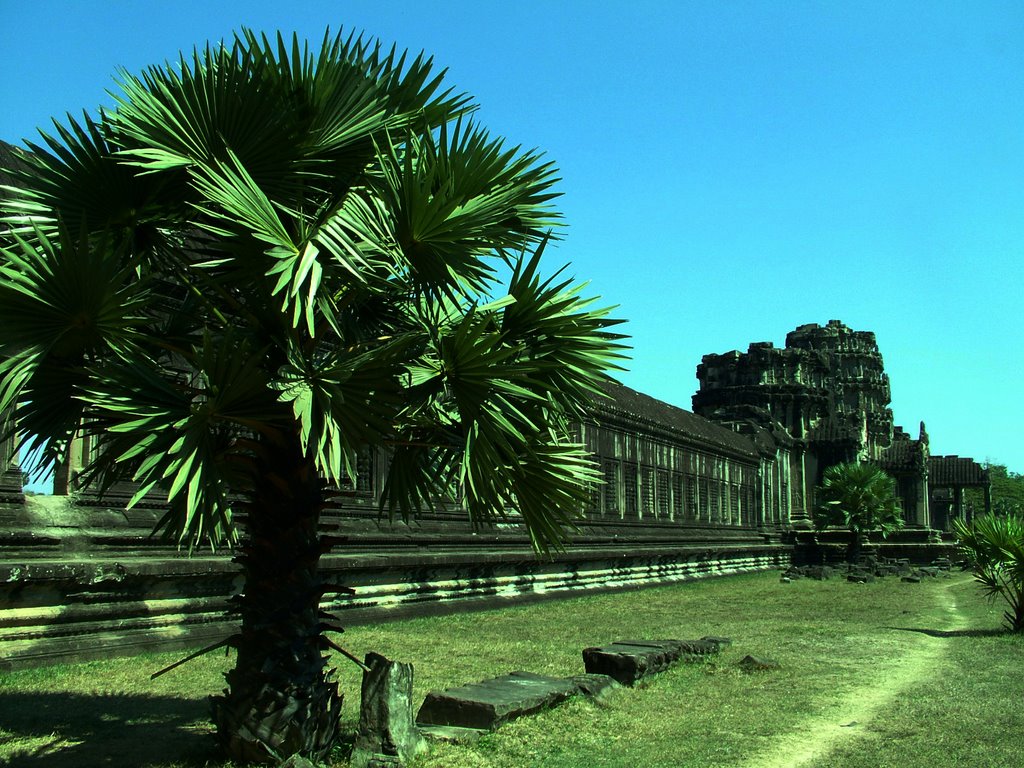 Angkor Wat Cambodia by steviej