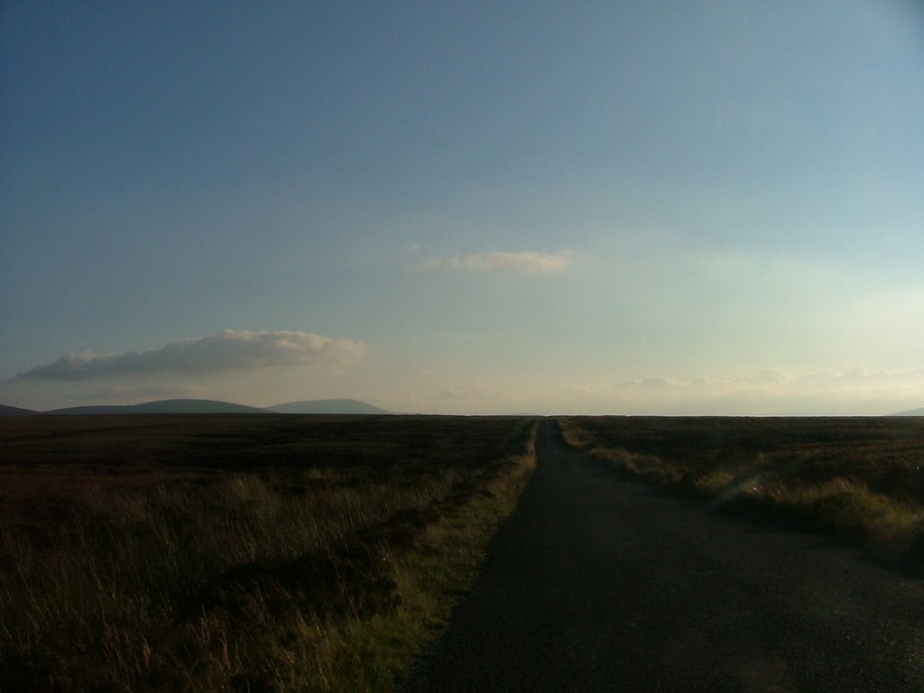 Desert in Wicklow Mountain by szumano