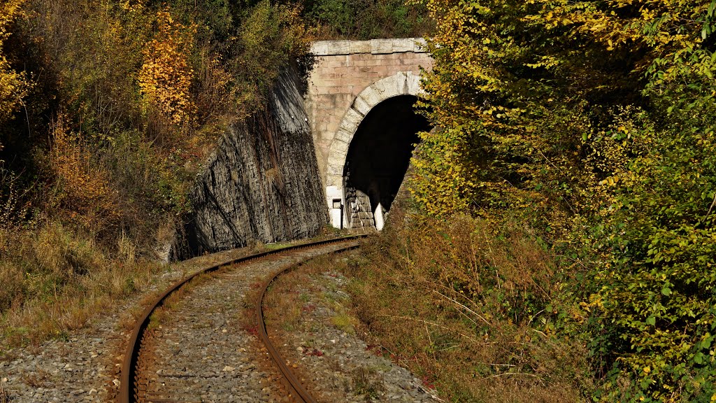 Kolpášsky tunel - štiavnicky portál by Ľudo Deržák