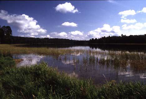 Lake Itasca nahe Kanada, Quelle des Mississippi, Minnesota, USA by dia.ch