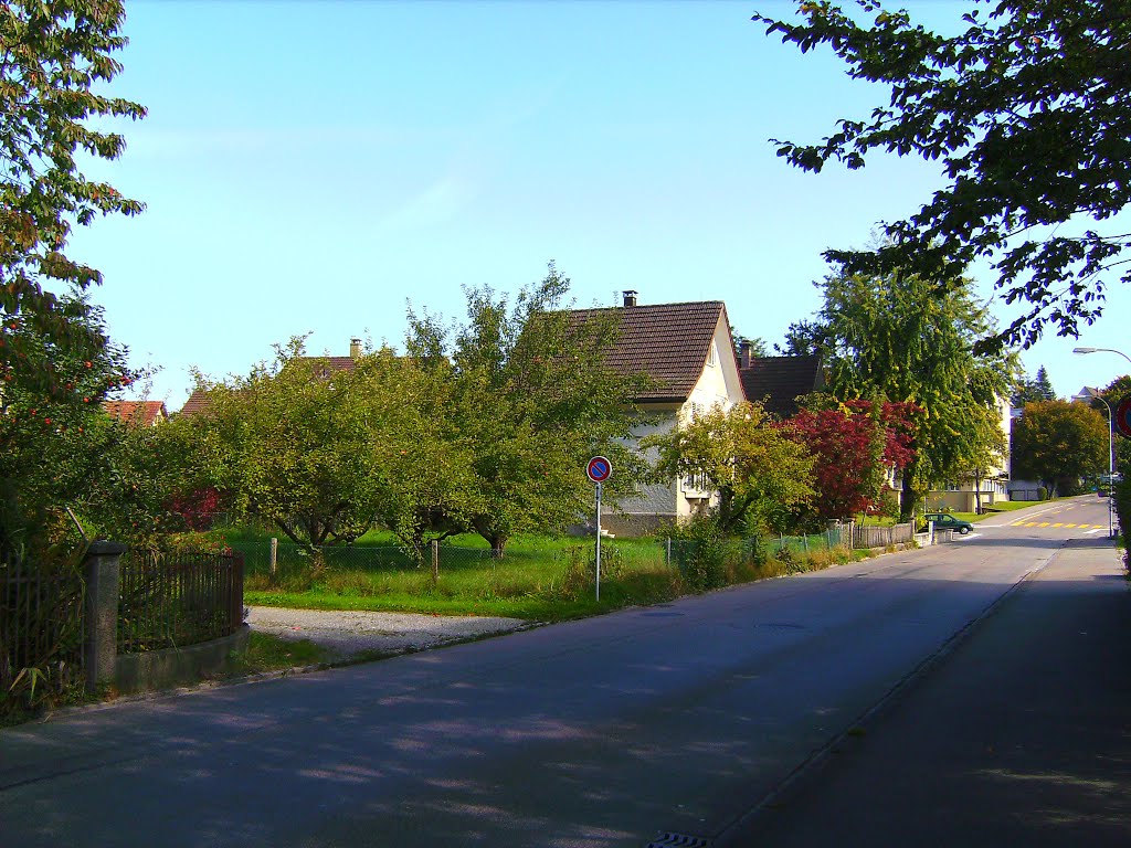 Wetzikon, Spitalstrasse 39 (2008) by dr.monnet