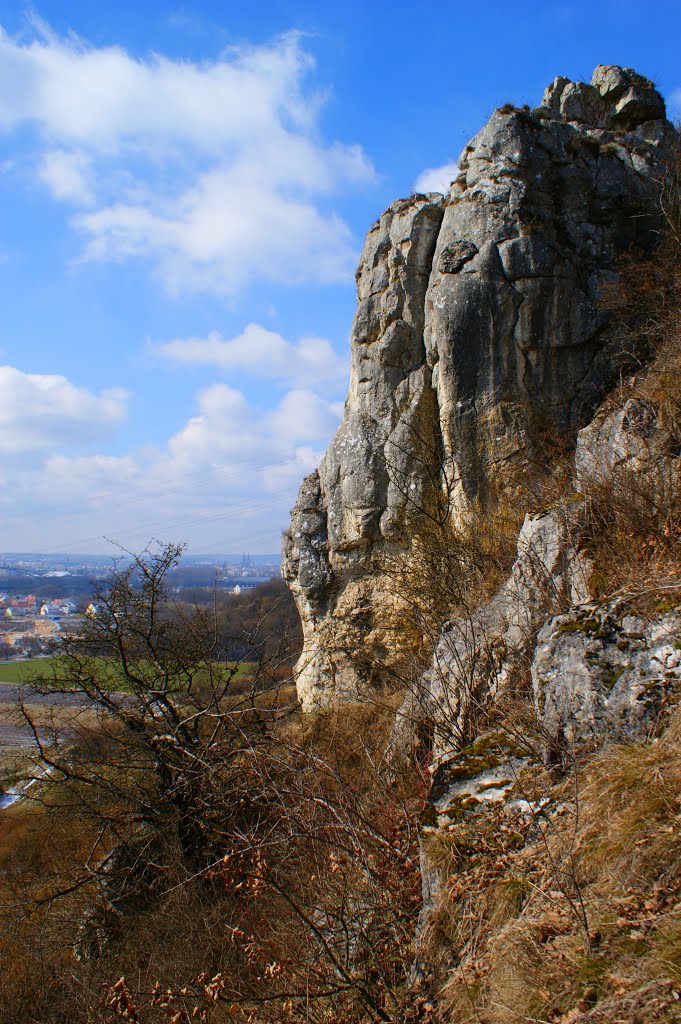 Am Fellinger Berg; 14.3.13 D.F. by Daniel Froschauer