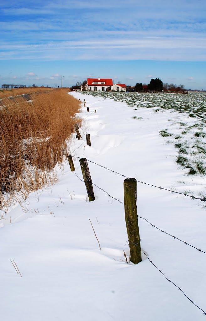 Snow in polder by godefridi