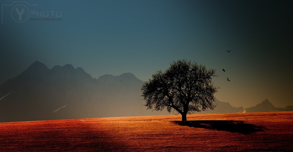 KRAJINA: Stará Ľubovňa - Tatry by Y-PHOTO STUDIO