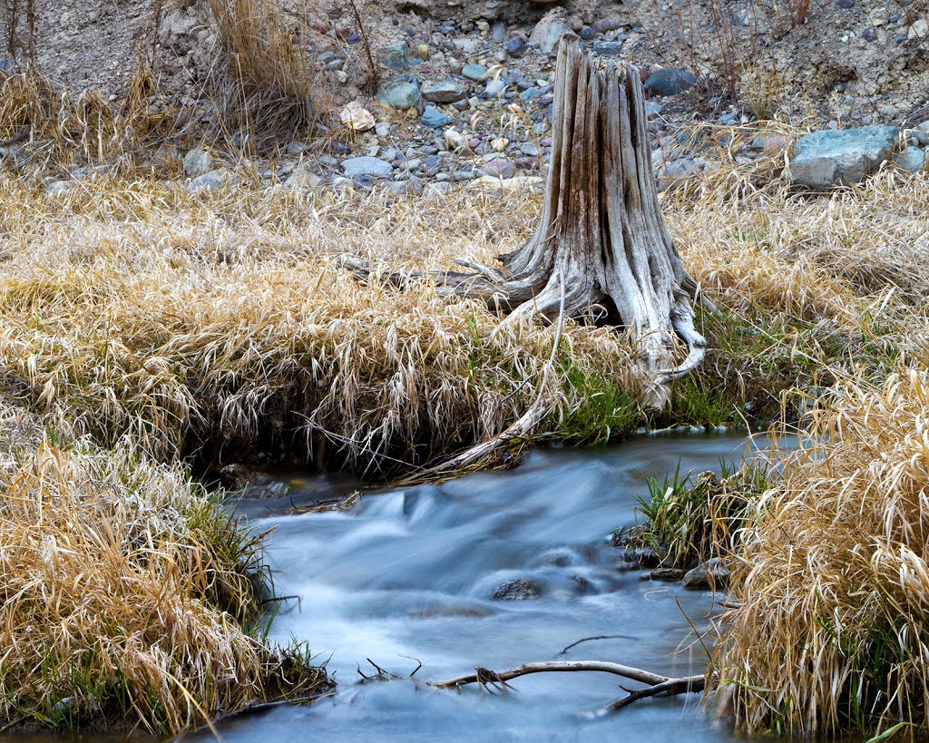 On Mission Creek ...03.13.13.©.rc by Richard Campbell