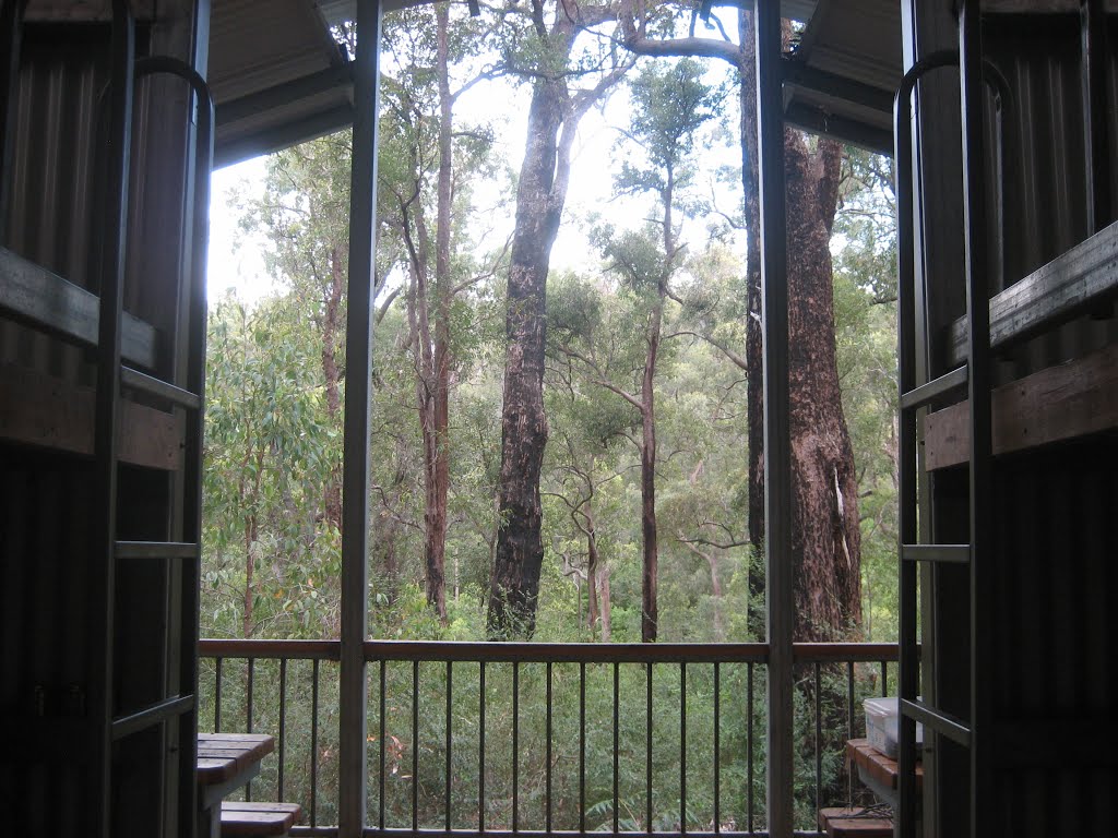 The Yarri shelter with its tree top views. by Eli Shorey