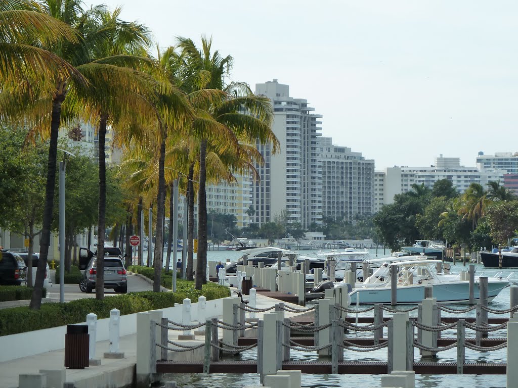 Miami Beach - Miami - FL - USA by Paulo Targino Moreira Lima