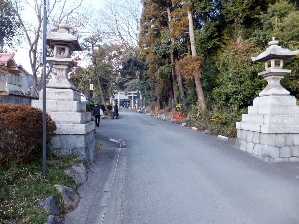 諸羽神社　参道　Approach leading to Moroha Shrine by Daichi Kohmoto ☆河本大地