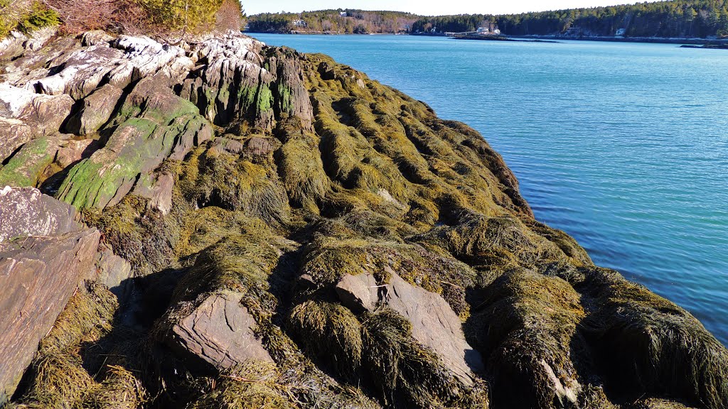 Gun Point Cove, Harpswell Maine by Taoab