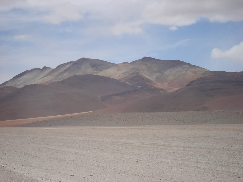 Desierto de Dalí, Los Lípez by seoane