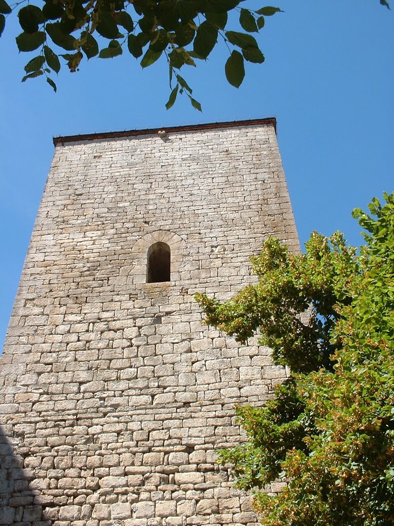 Tour-donjon de Floirac by Yann LESELLIER