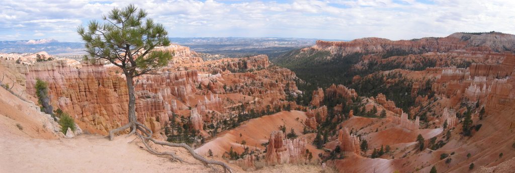 Bryce Canyon Natl Park by JanDirkvtWout