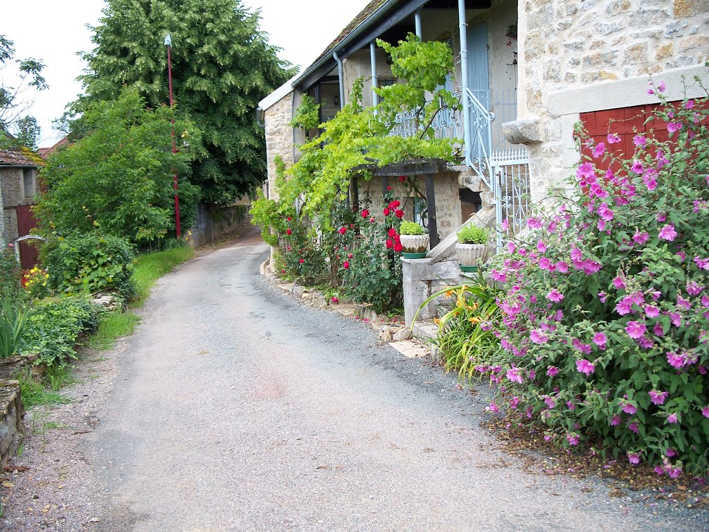 Rue dessous fleurie by gmichel