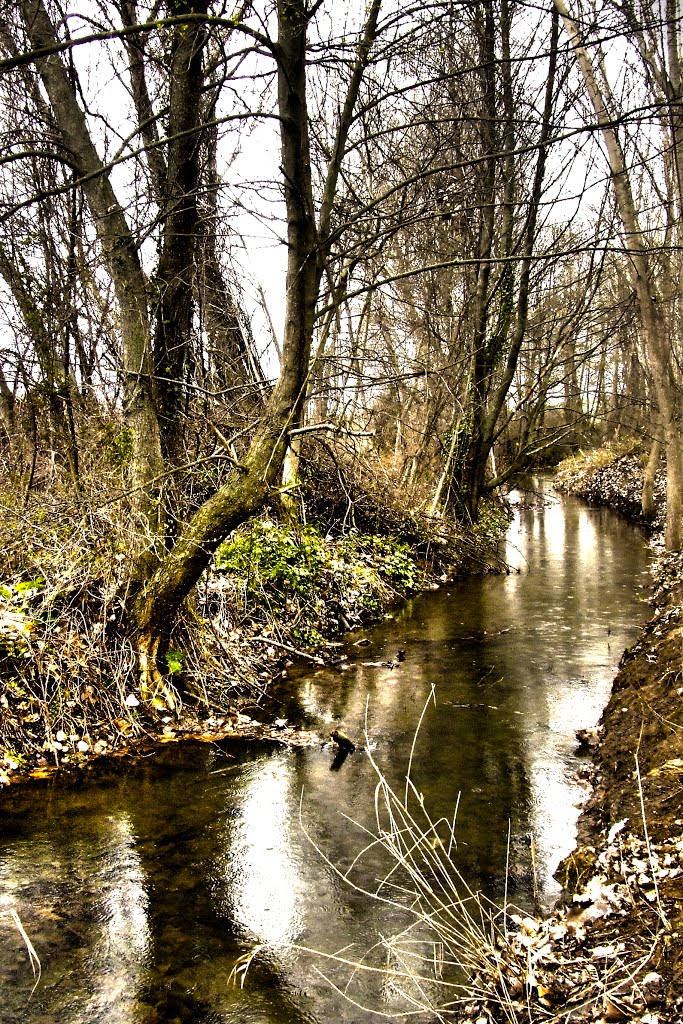 Canal del Jarama hdr by catavida