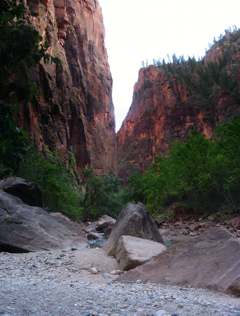 Zion Narrows by JanDirkvtWout