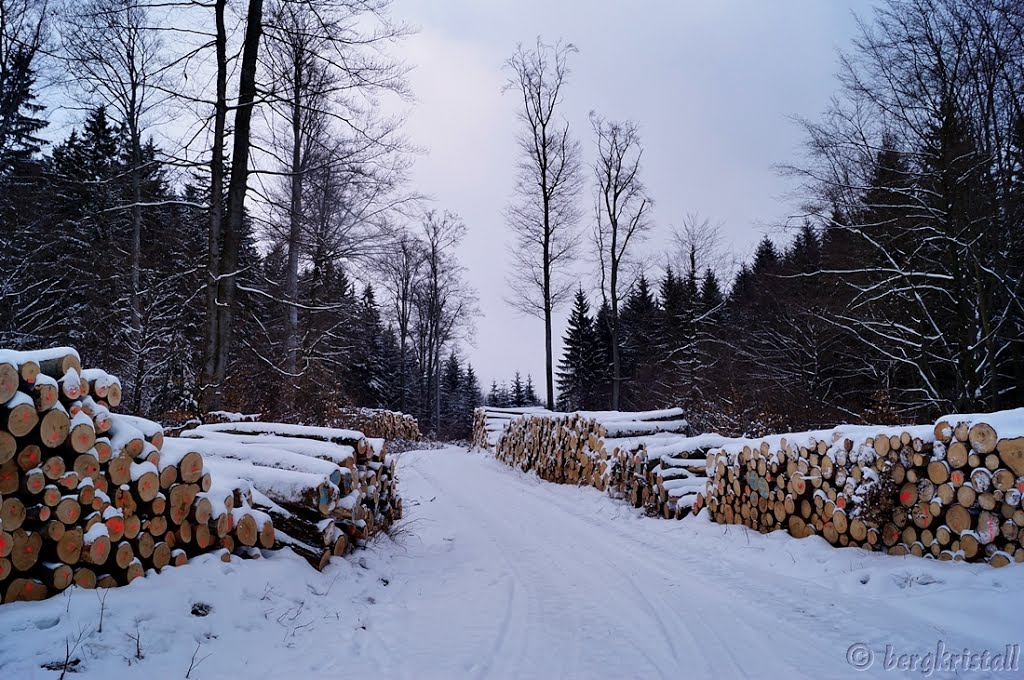 Holzlagerplatz by ☼❄ bergkristall ❆☼