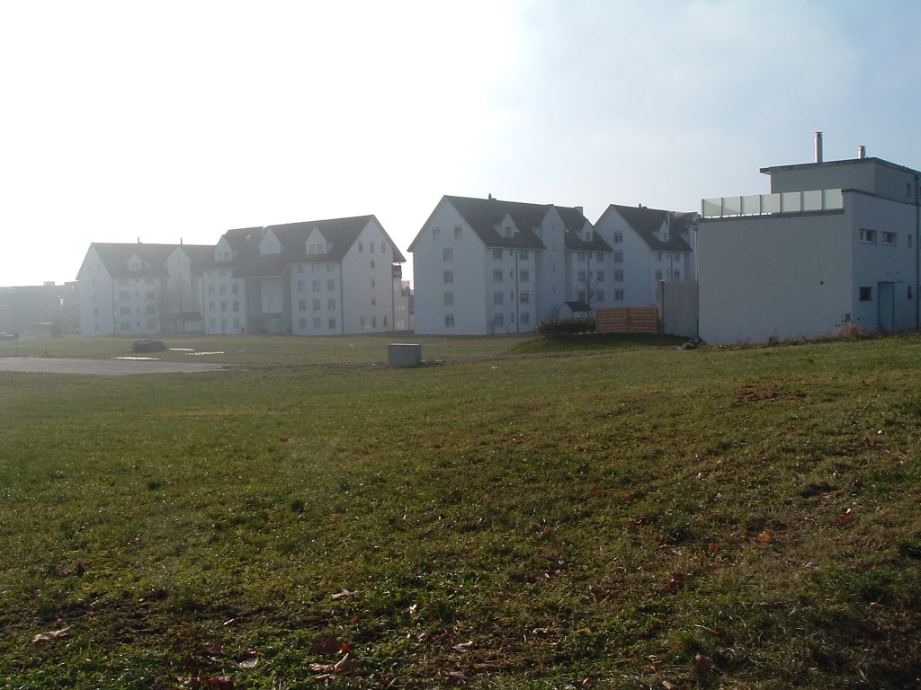 Houses in Romanshorn by cetink