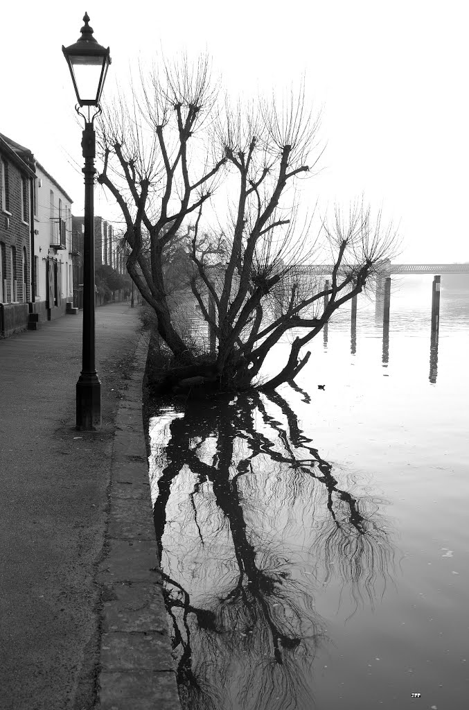 The Strand by Jon Perry