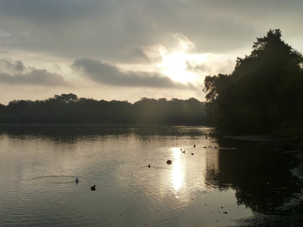 25-09-2011@06:50. Autumn morning at Petersfield Pond. by RedRobbo