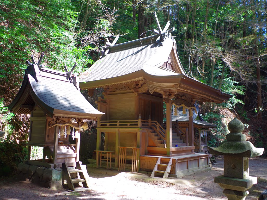 川上神社本殿 河内長野市鳩原 2013.3.15 by as365n2