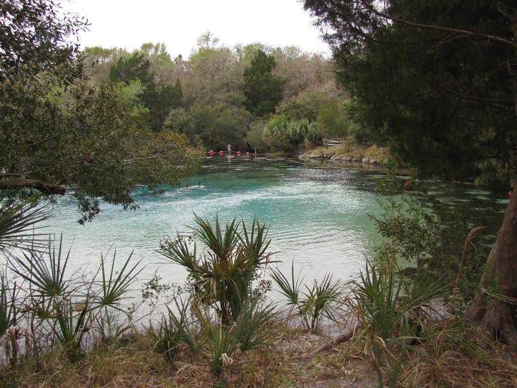 Silver Glen Springs by Chris Sanfino