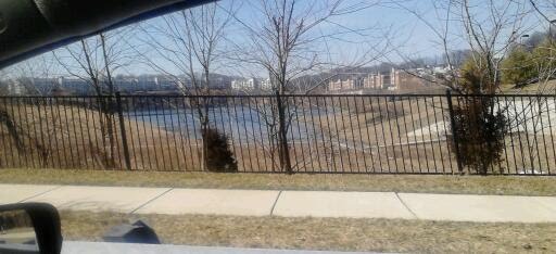 Quarry Lake seen from Greenspring Ave., 3/10/13. by MarkJWalter